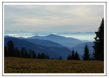 Wieden Weitblick